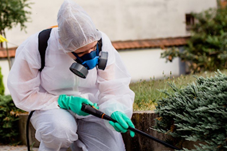 Dedetizadora-em-Santo-Amaro