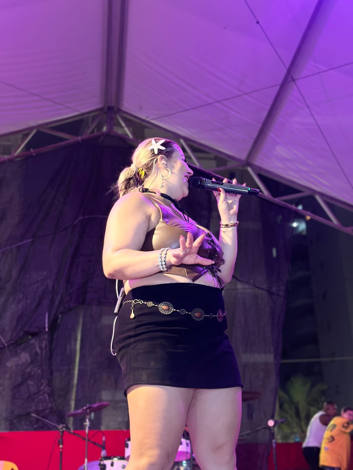 show-sertanejo-ao-vivo