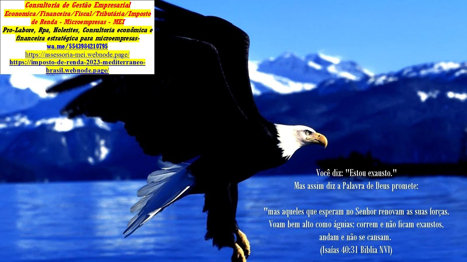 AGUIA-10